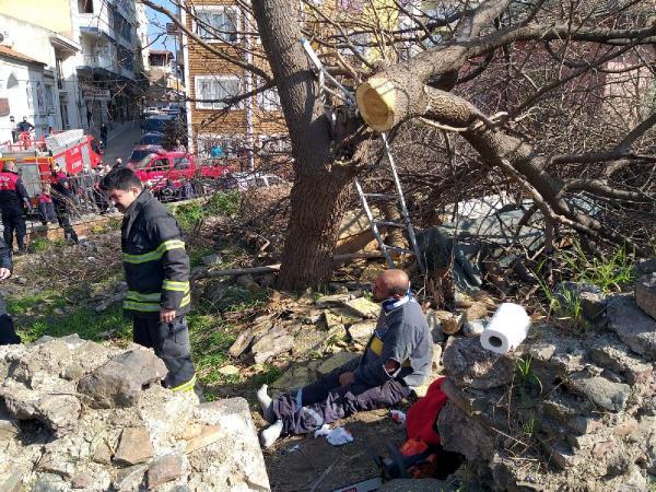 Kestiği ağaç üzerine düşen işçi yaralandı