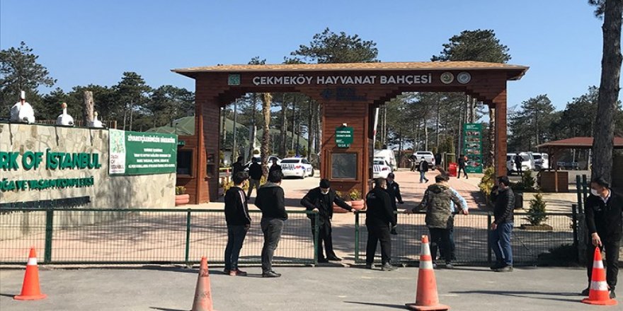 İstanbul'da hayvanat bahçesinde silahlı kavga: 2 ölü