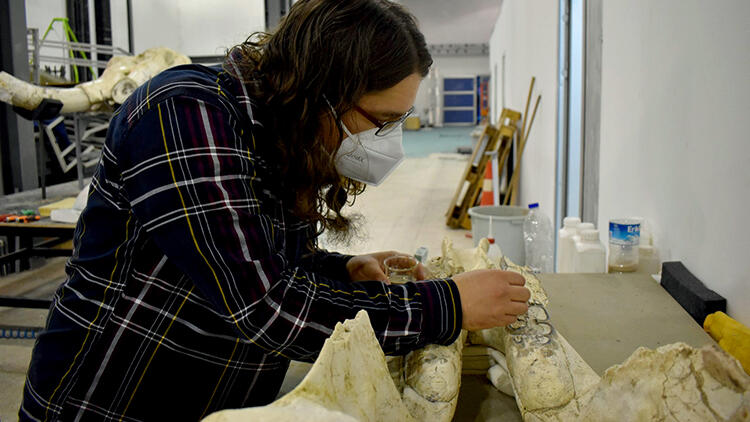 Kayseri'de bulundu! Tam 7.5 milyon yıllık!