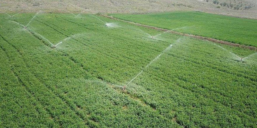 Aydın'da kuraklık tedbiri için suya kısıtlama getirildi