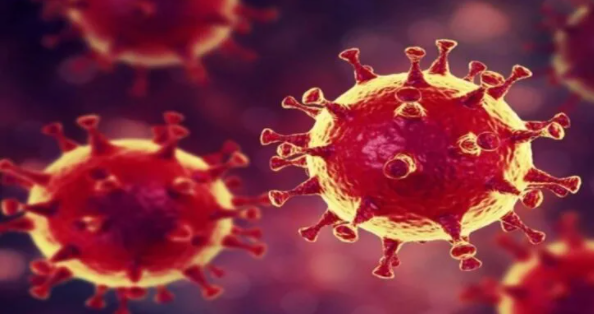 Dikkat çekici araştırma: Ultrason dalgaları Kovid-19'a zarar verebilir