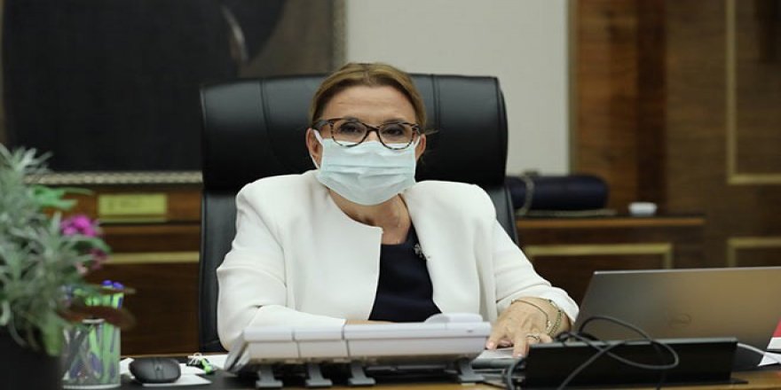 Ticaret Bakanlığı'ndan 2 firmayla ilgili süreli men kararı