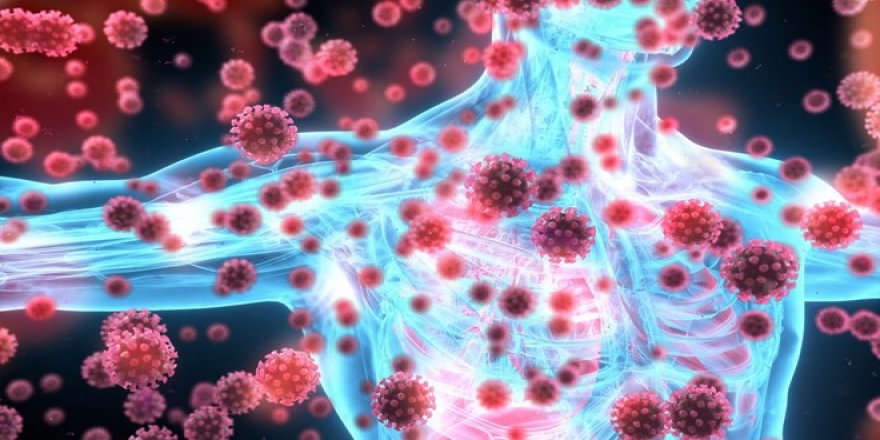 4 milyon kişi incelendi: Covid-19 geçiren kişilerde antikor seviyesi düşse de koruyuculuk devam ediyor