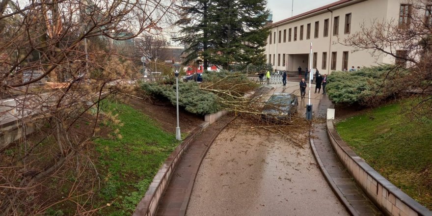 TBMM'ye Yıldırım Düştü