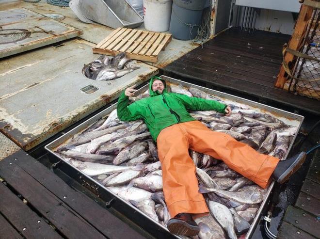 Balıkçı, ağına takılanı görünce dehşete düştü!