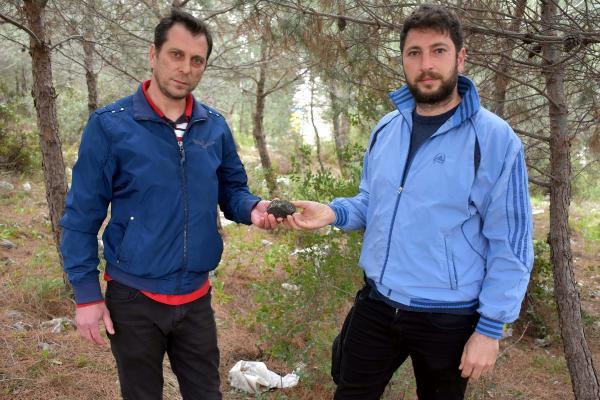 Gezintiye çıktıkları dağlık alanda buldukları gizemli taşın sırını çözmeye çalışıyor