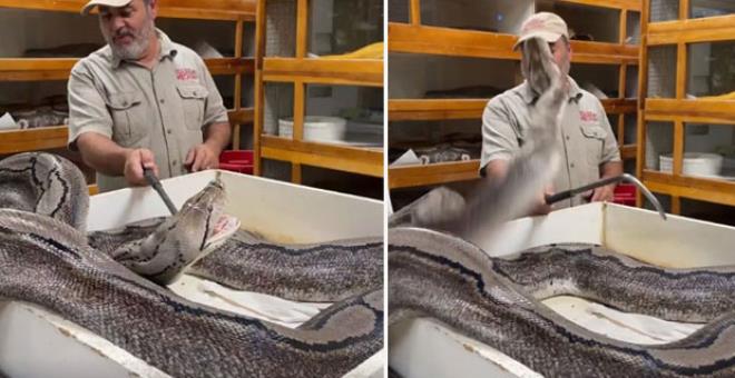 Çürümüş yumurtalarını almak istedi! Birkaç saniye sonrası korkunç