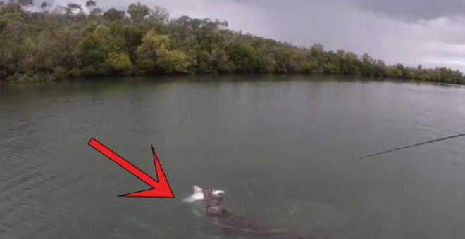 Rakibinin sınırlarına girdi, olan oldu!