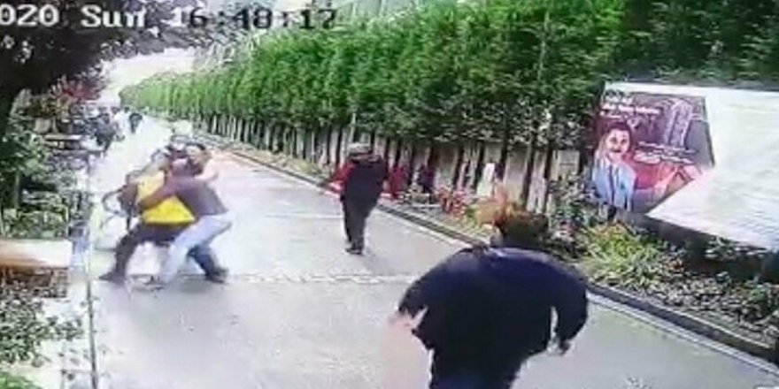 Lüks sitede 'boksörüm' diyerek insanlara saldırdı