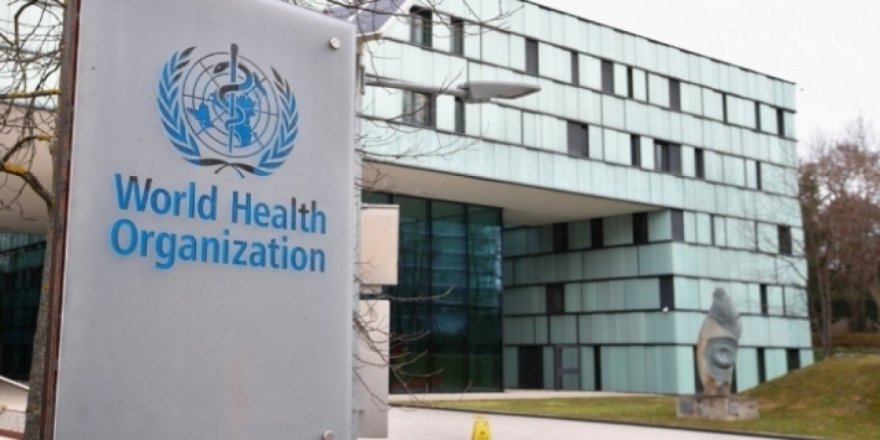 DSÖ'nün taslak raporu yayınlandı: 'Koronavirüs yarasalardan insanlara başka bir hayvan yoluyla bulaştı