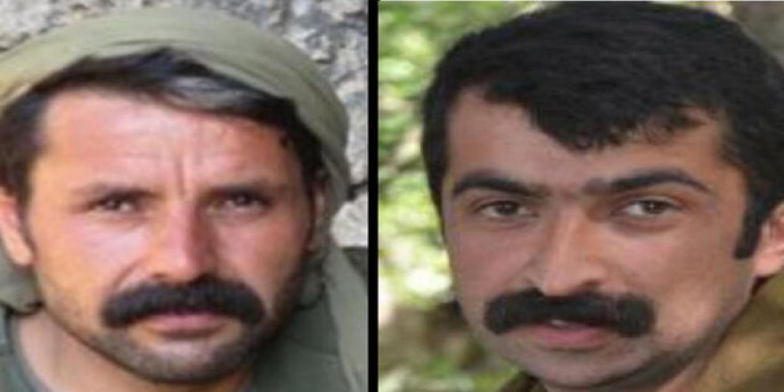 Karayılan'ın koruması etkisiz hale getirildi