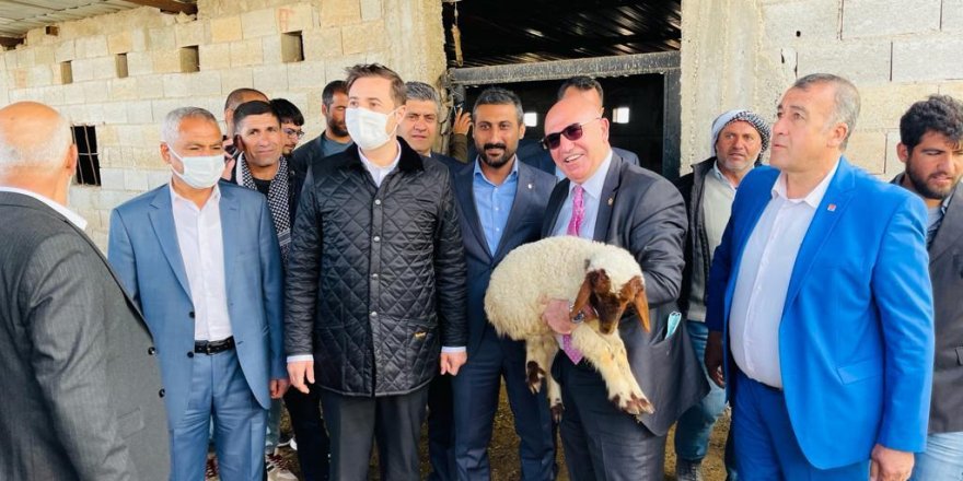 Gözaltına Alınan Koyunlar Meclisi Karıştırdı