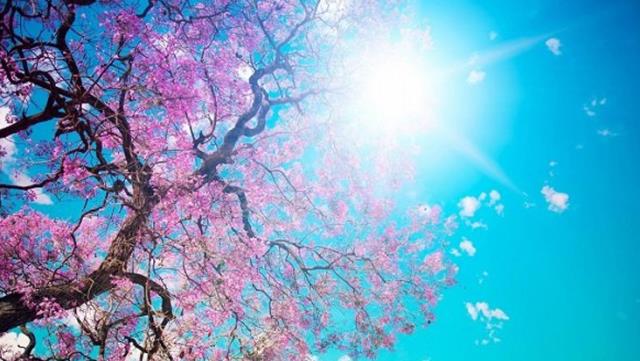 Türkiye hafta başından itibaren bahar havasının etkisi altına giriyor