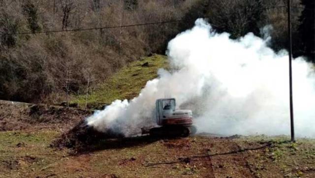 Karadeniz'i istila eden 'drakula' fındık üreticilerini mağdur etti