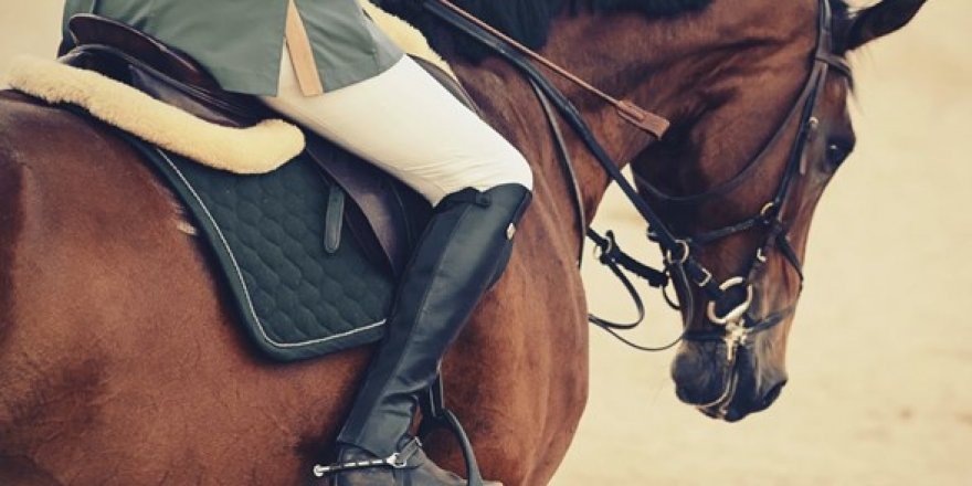 Türkiye Binicilik Federasyonu'nda yolsuzluk