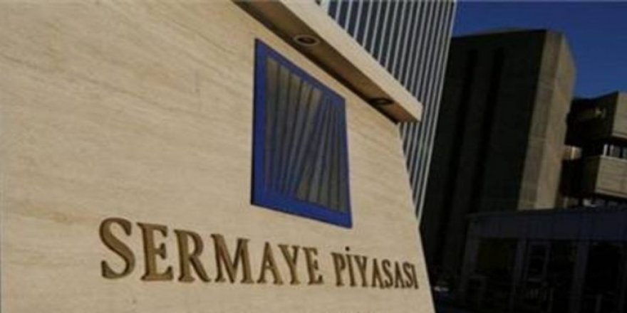 Dev enerji firmaları halka arz ediliyor