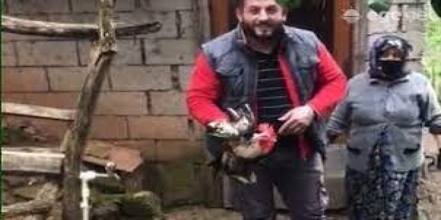 Anne diye bağırınca kesilmekten kurtulan horoz gündem oldu