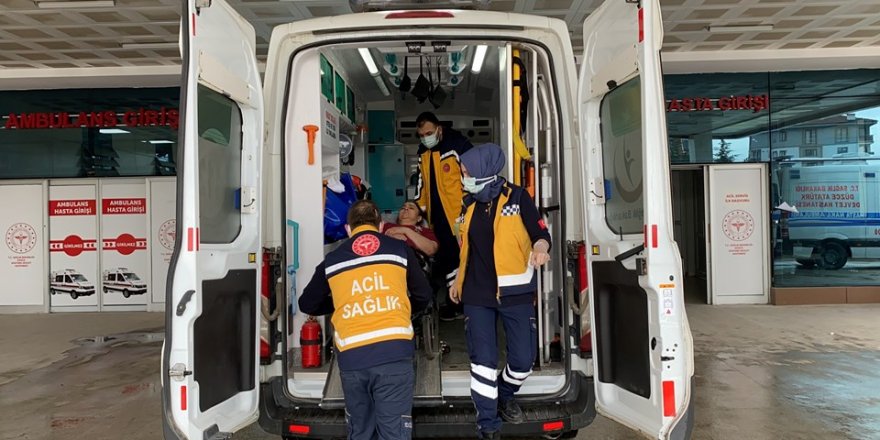 Düzce'de deli bal kabusu