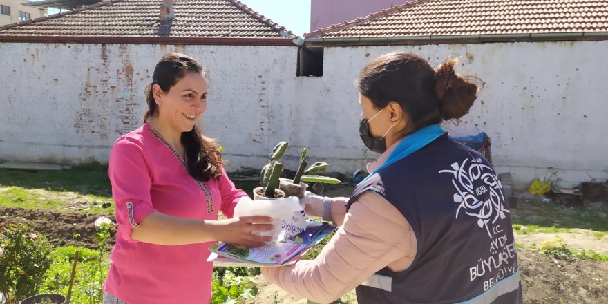 Aydın Büyükşehir Belediyesi Ejder  Meyvesi Fidanlarını Çiftçilere Dağıttı