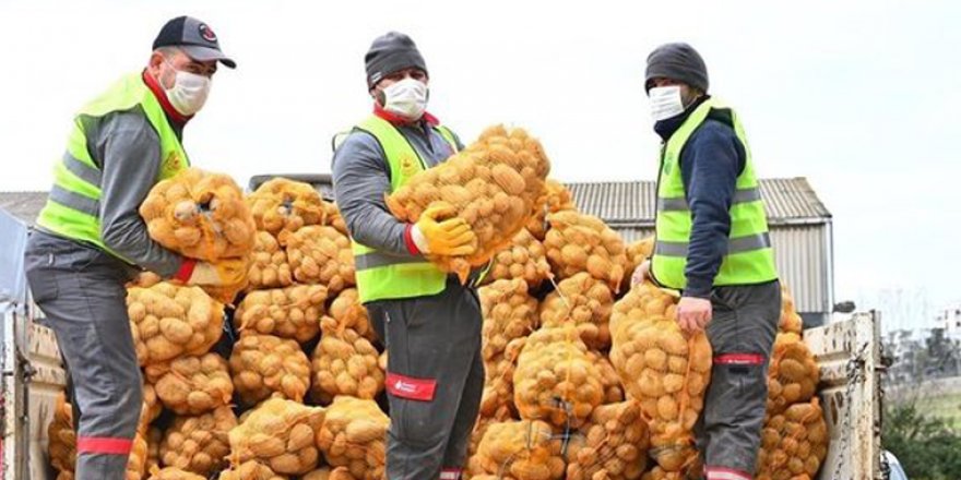 "Patates dağıtımındaki rakamlar gerçek değil"