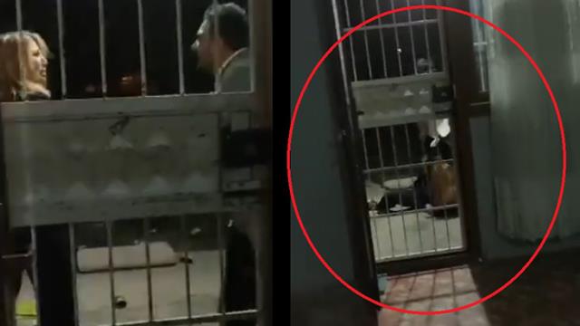 'Her şeyi göze alıyorum' diyen cani, genç kadını dakikalarca darbetti