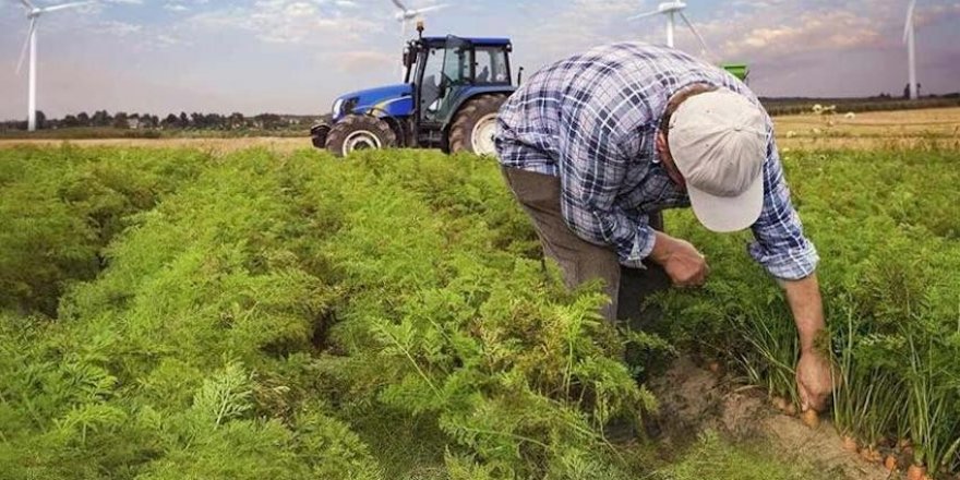 Köyüne dönmek isteyene teşvik!