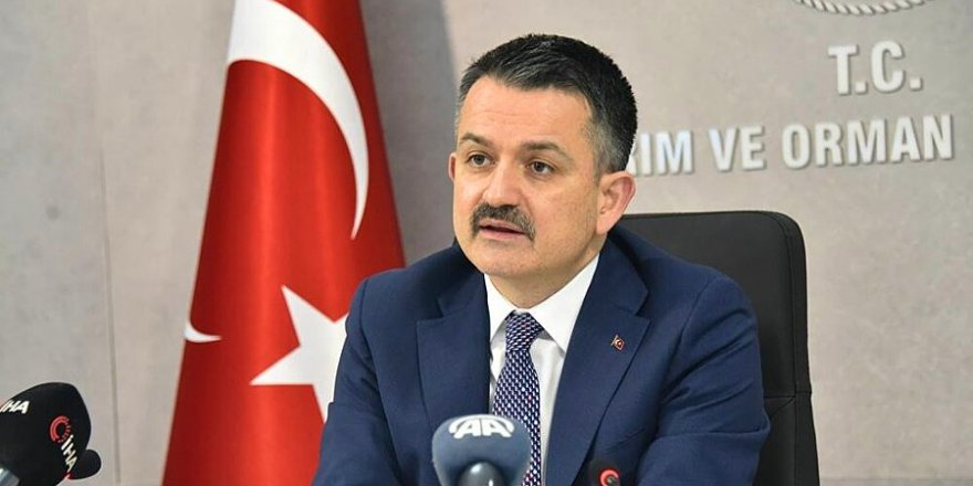 Tarım ve Orman Bakanı Pakdemirli'nin de bulunduğu uçak arıza nedeniyle acil iniş yaptı