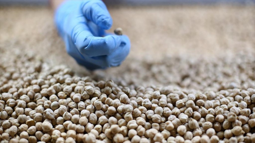 Türkiye'nin Son 3 Yıldaki Bakliyat İhracatı 1 Milyar Dolara Yaklaştı