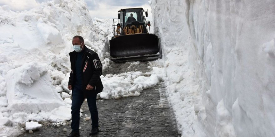 Baharda 10 metre kar