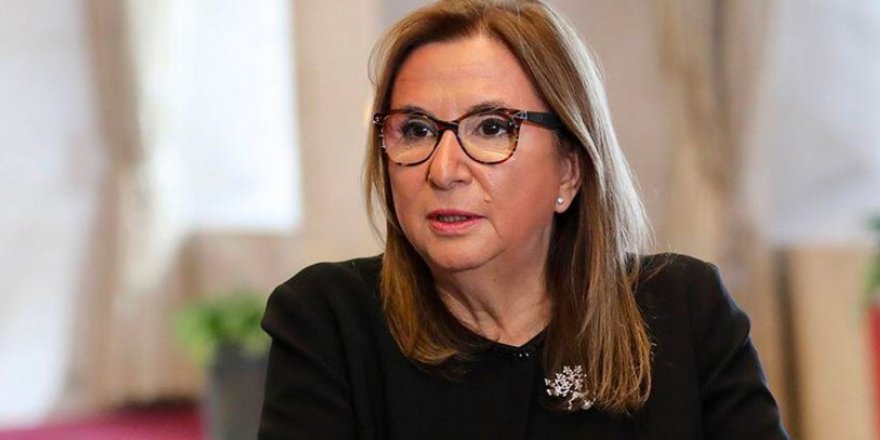 Ruhsar Pekcan'ın şirketine akan destek belli oldu