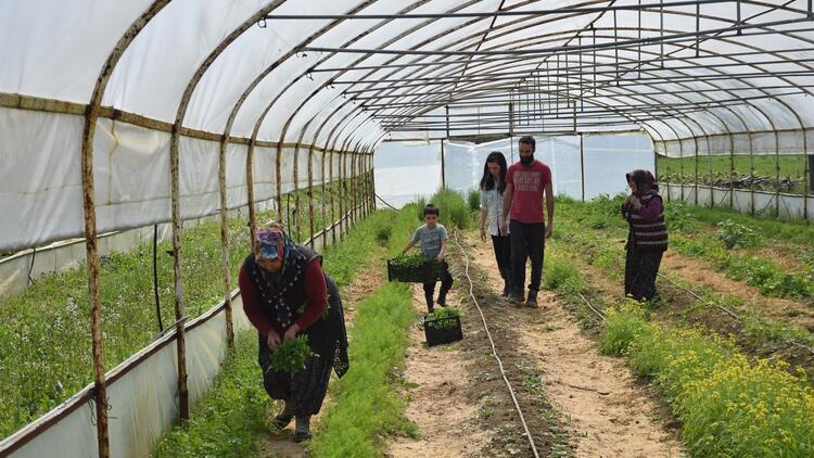Atıl arazide iş kurup istihdam yarattılar...