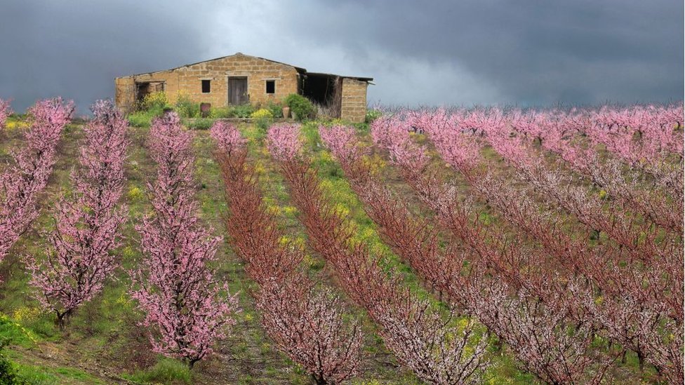 Hayalet kasabada terk edilmiş 900 ev