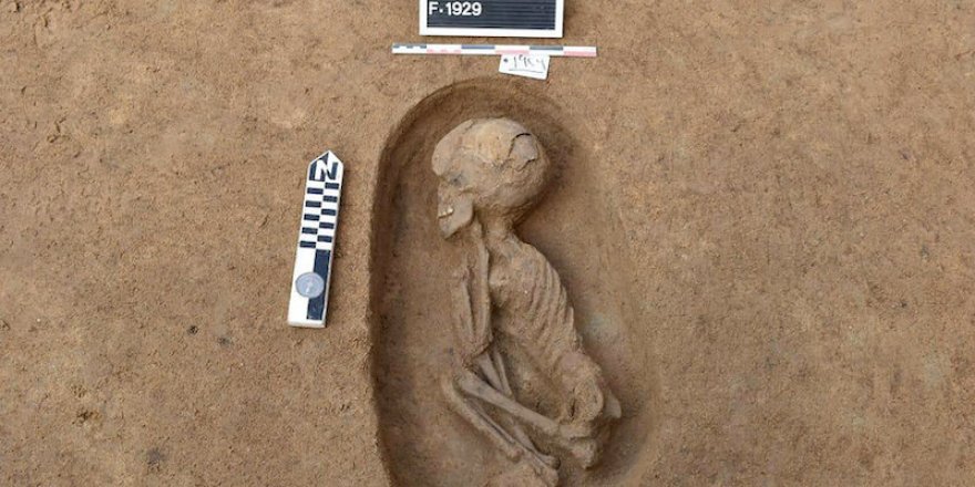 Nil Deltası’nda 110 Antik Mısır Mezarı Ortaya Çıkarıldı