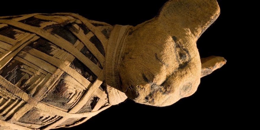 Antik Mısırlılar Neden Kedilere Takıntılıydı?