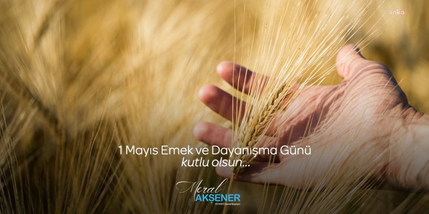 Akşener'den 1 Mayıs Mesajı