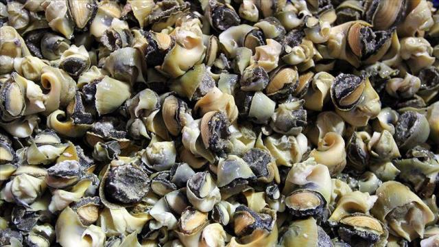 Kansere çare, gençlik iksiri