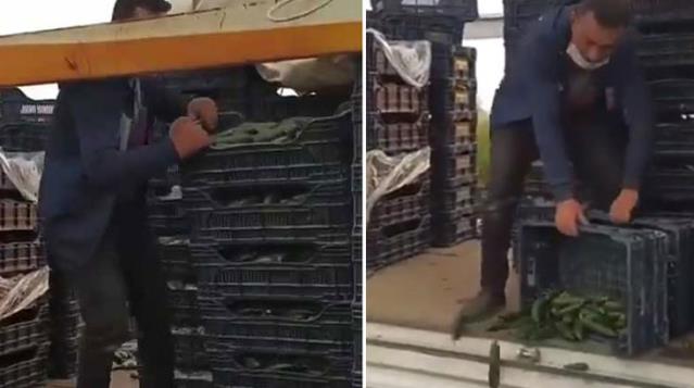 "Mal para etmiyor" diyerek kasa kasa salatalığı döktü