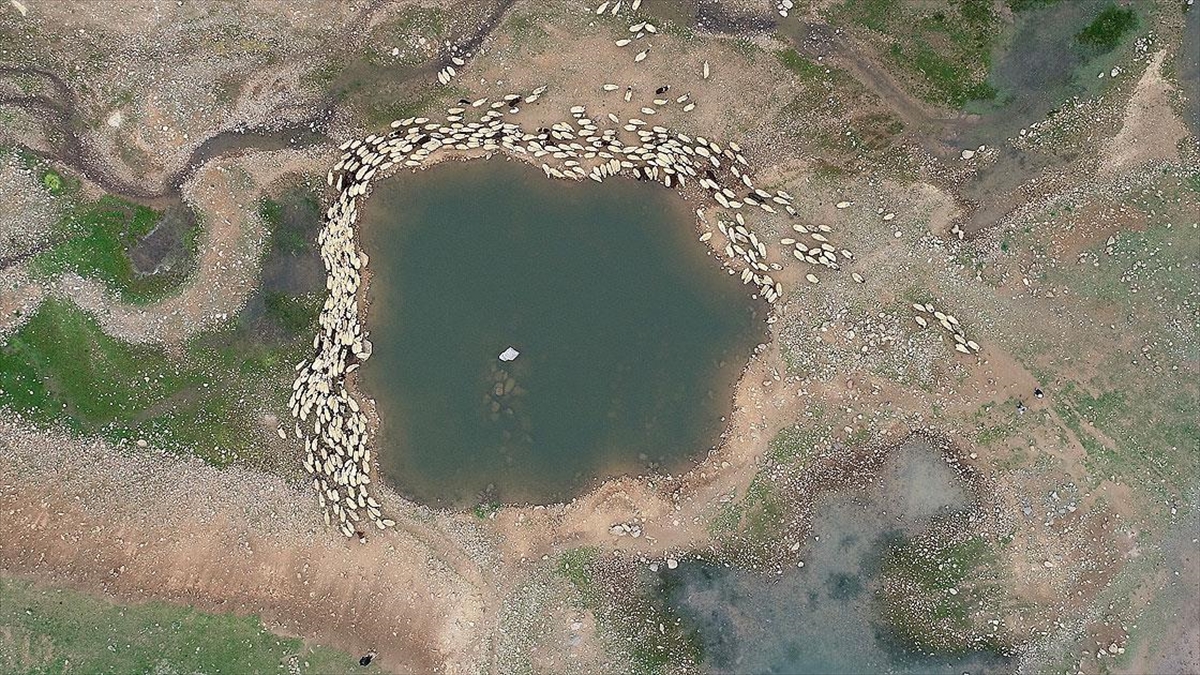 Ramazanda Zorlu Yolculuğa Çıkan Göçerler Bayramı Da Yolda Geçirecek