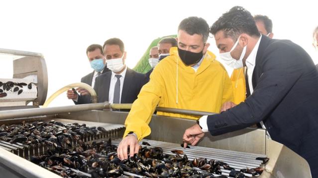 Pakdemirli'den, kıyı balıkçılarına ödeme müjdesi