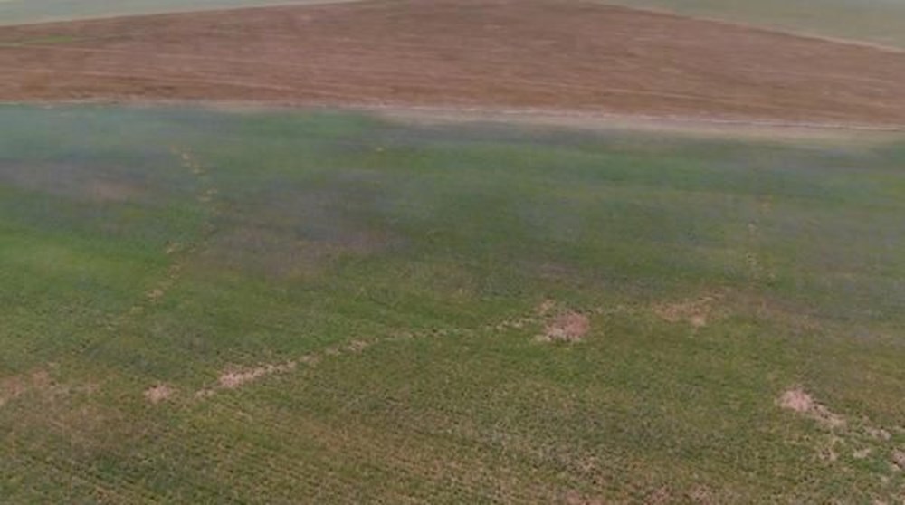 Üç bölgede 'olağanüstü' kuraklık