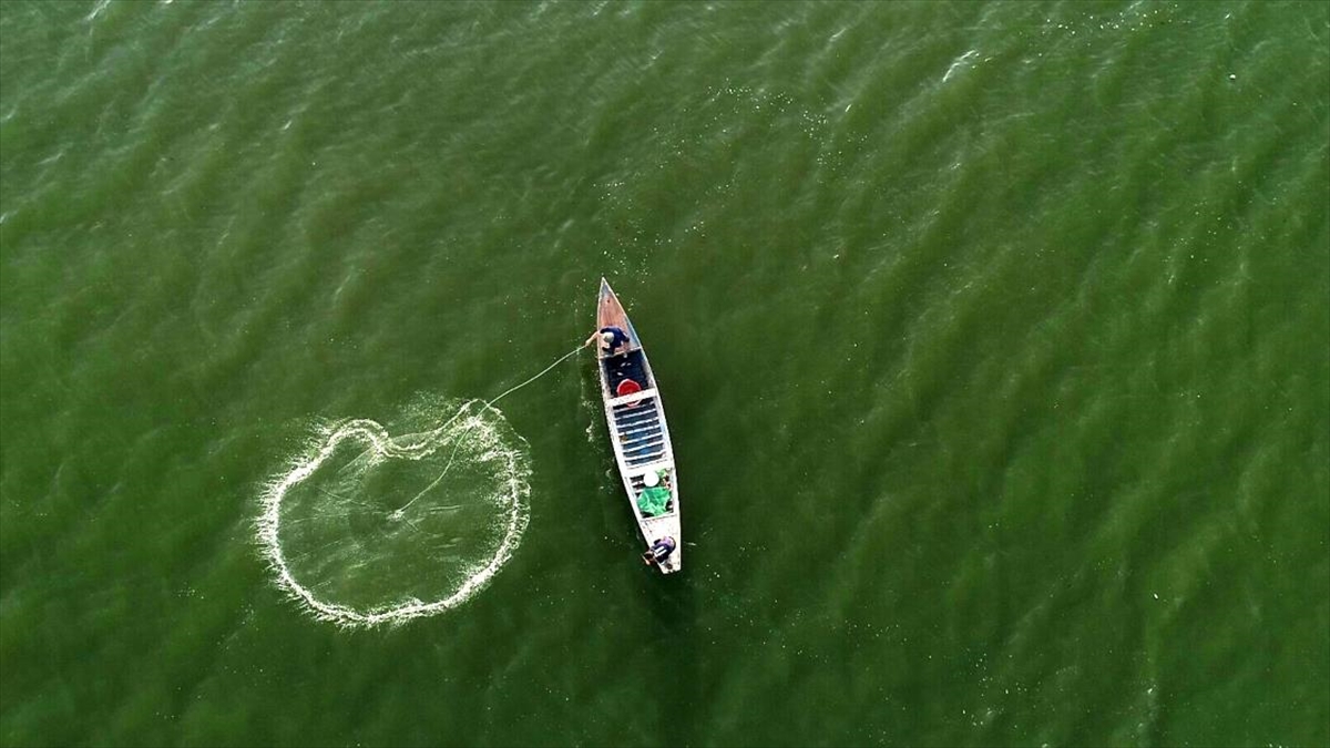 Çölün Ortasındaki Mucize: Necef Denizi