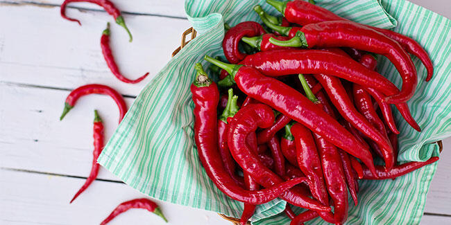 Acıya duyarlı kişilerin koronaya yakalanma riski düşük