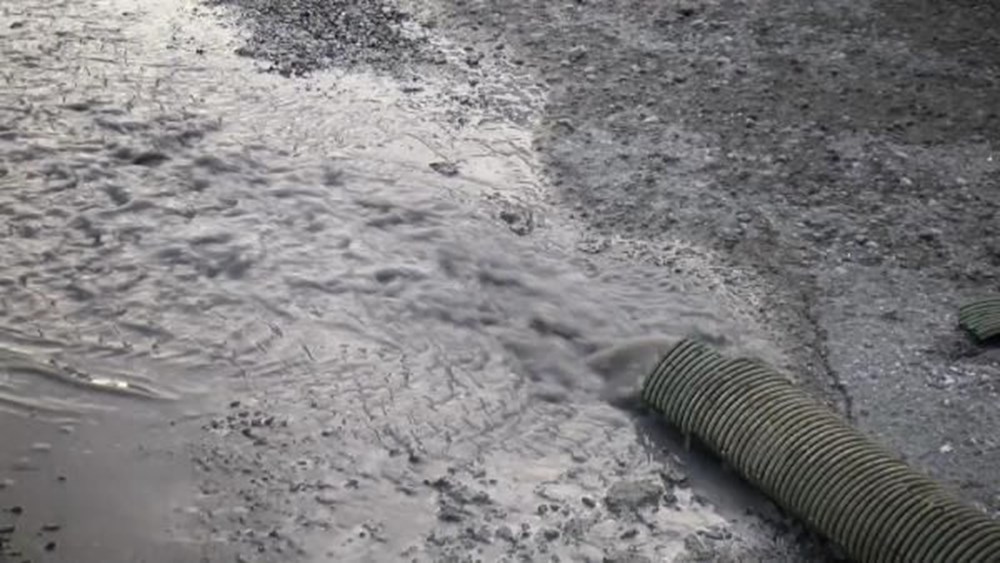 Mavi su bu kez iş yerlerine aktı: Sokak köpekleri içip ölüyor