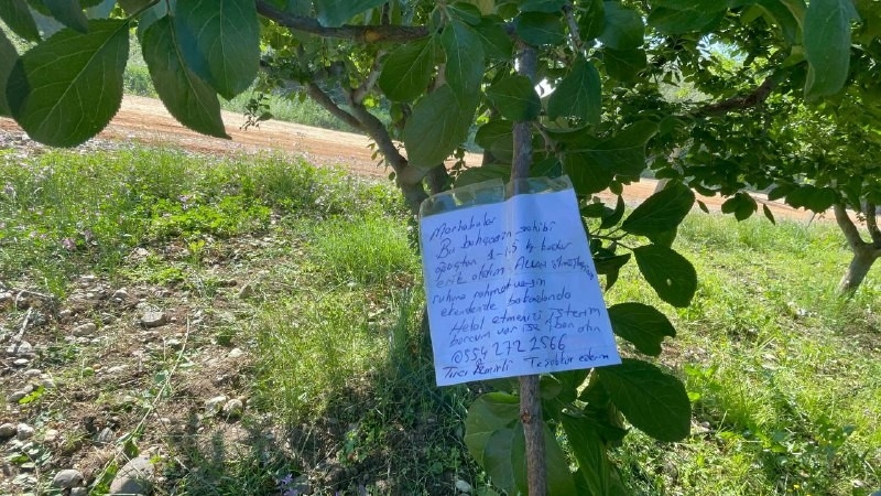 Erik ağacının dalına not bıraktı, "Borcum var ise iban atın"