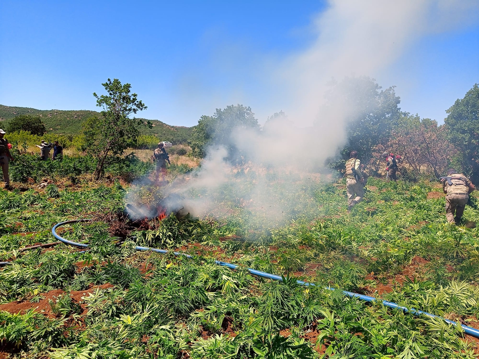 Diyarbakır’da Dev Uyuşturucu Operasyonu