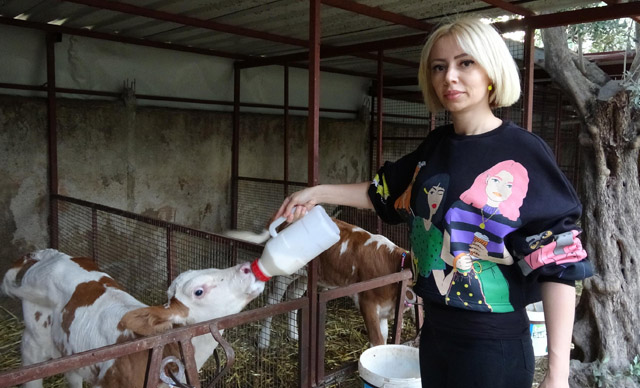 Spikerliği bırakıp hayvancılığa başladı