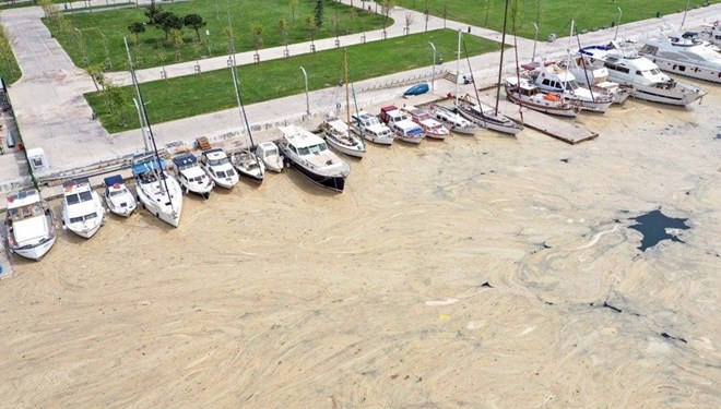 En Büyük Çevre Sorunu Marmara Müsilajı