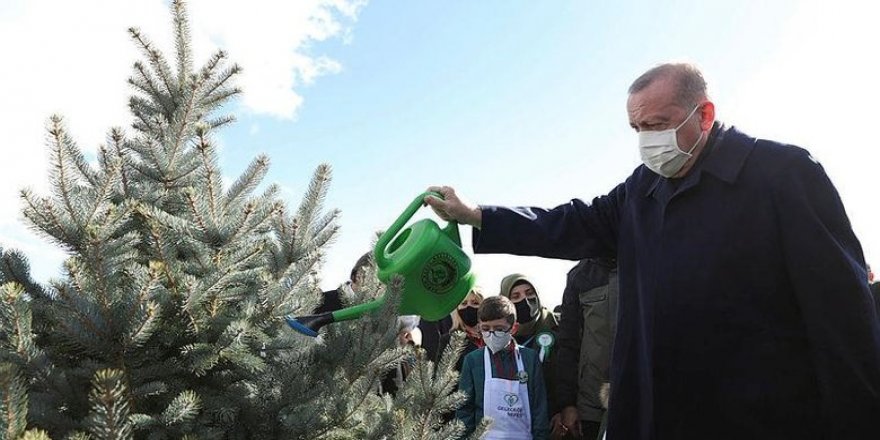 Erdoğan'dan Dünya Çevre Günü Mesajı