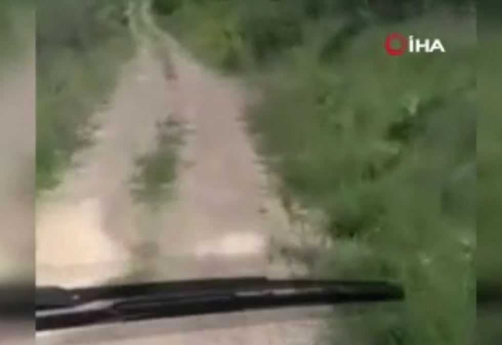 Gazetecilerin Hayatını Kaybettiği Mayın Patlamasının Görüntüleri Ortaya Çıktı