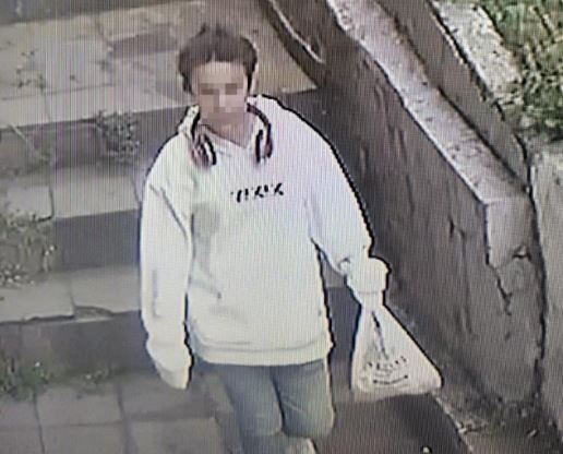 Cumhurbaşkanına hakaretten suç kaydı olan kadın, hırsızlıktan yakalandı